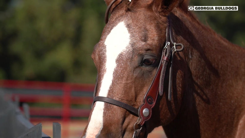 Equestrian vs Fresno State